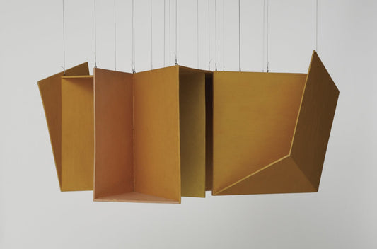 Hélio oiticica